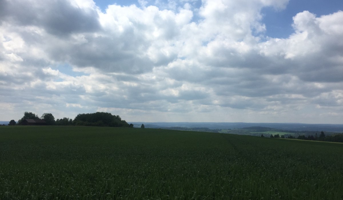 Weite grüne Felder erstrecken sich unter einem bewölkten Himmel. Am Horizont sind Hügel und Bäume zu sehen., © www.pro-cycl.de Weite grüne Felder erstrecken sich unter einem bewölkten Himmel. Am Horizont sind Hügel und Bäume zu sehen., © www.pro-cycl.de