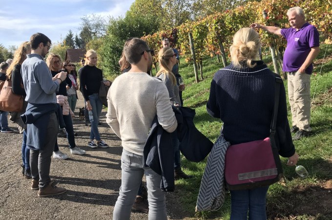 Eine Gruppe von Menschen steht in einem Weinberg und hört einem Führer zu. Die Reben sind herbstlich gefärbt., © Weingenuss Stuttgart Eine Gruppe von Menschen steht in einem Weinberg und hört einem Führer zu. Die Reben sind herbstlich gefärbt., © Weingenuss Stuttgart