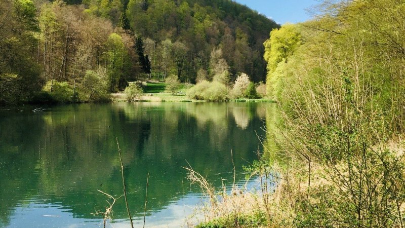 Kräuterwanderung mit Wildpflanzenpädagogin Gaby Schmid, © Kurverwaltung Bad Urach Kräuterwanderung mit Wildpflanzenpädagogin Gaby Schmid, © Kurverwaltung Bad Urach