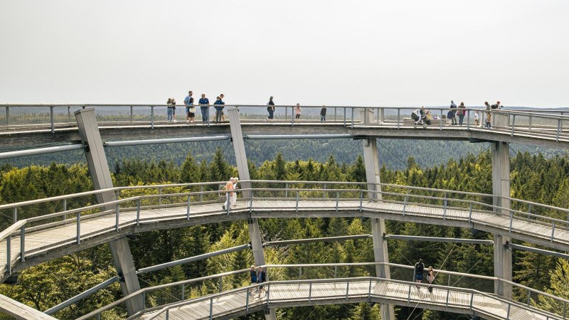 Der Aussichtsturm in Bad Wildbad bietet spiralförmige Wege über einem dichten Wald, auf denen Besucher spazieren gehen und die Aussicht genießen., © SMG, Sarah Schmid Der Aussichtsturm in Bad Wildbad bietet spiralförmige Wege über einem dichten Wald, auf denen Besucher spazieren gehen und die Aussicht genießen., © SMG, Sarah Schmid