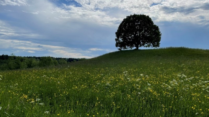 G&auml;stewanderung mit Josef Engst