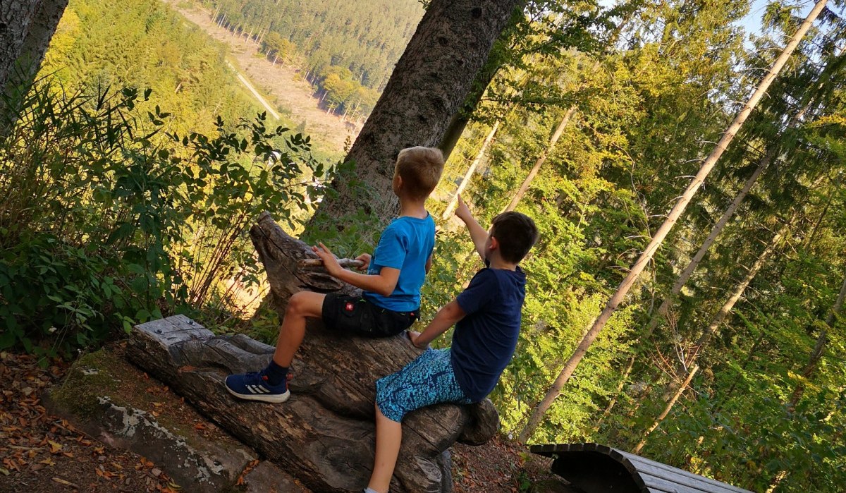 Zwei Kinder sitzen auf einer Holzskulptur im Wald und schauen in die Ferne. Umgeben von Bäumen, mit Blick auf eine bewaldete Landschaft., © Nördlicher Schwarzwald