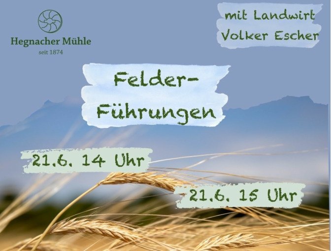 Felder-F&uuml;hrung mit der Hegnacher M&uuml;hle und Landwirt Volker Escher, &copy; WTM GmbH Waiblingen