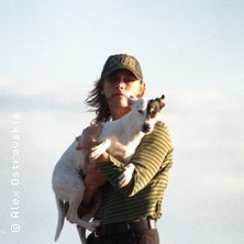 Zoomies, © links im Bild Zoomies, © links im Bild