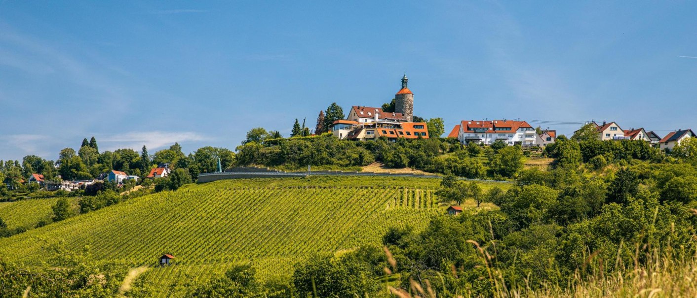 Panoramablick auf die Weinberge von Winnenden mit einem Turm und Häusern im Hintergrund unter klarem, blauem Himmel., © Stuttgart-Marketing GmbH, Sarah Schmid Panoramablick auf die Weinberge von Winnenden mit einem Turm und Häusern im Hintergrund unter klarem, blauem Himmel., © Stuttgart-Marketing GmbH, Sarah Schmid