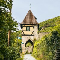 Das Neckarhaldentor in Esslingen, umgeben von Weinbergen und dichtem Grün, bietet einen malerischen Anblick., © Stuttgart-Marketing GmbH, Sarah Schmid Das Neckarhaldentor in Esslingen, umgeben von Weinbergen und dichtem Grün, bietet einen malerischen Anblick., © Stuttgart-Marketing GmbH, Sarah Schmid