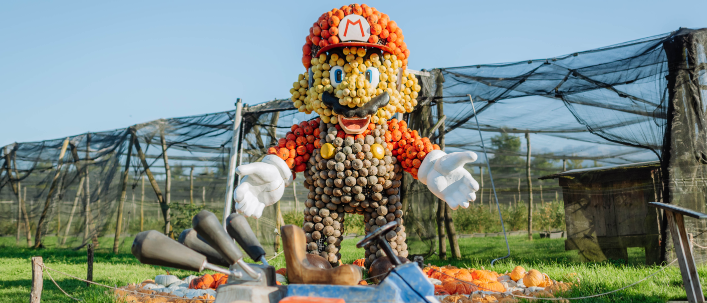 Super Mario aus Kürbissen, © Jucker Farm AG Super Mario aus Kürbissen, © Jucker Farm AG