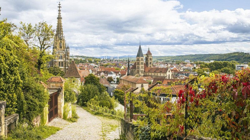 Panoramablick auf Esslingen mit Weinbergen im Vordergrund und historischen Geb&auml;uden im Hintergrund unter einem bew&ouml;lkten Himmel., &copy; SMG, Sarah Schmid