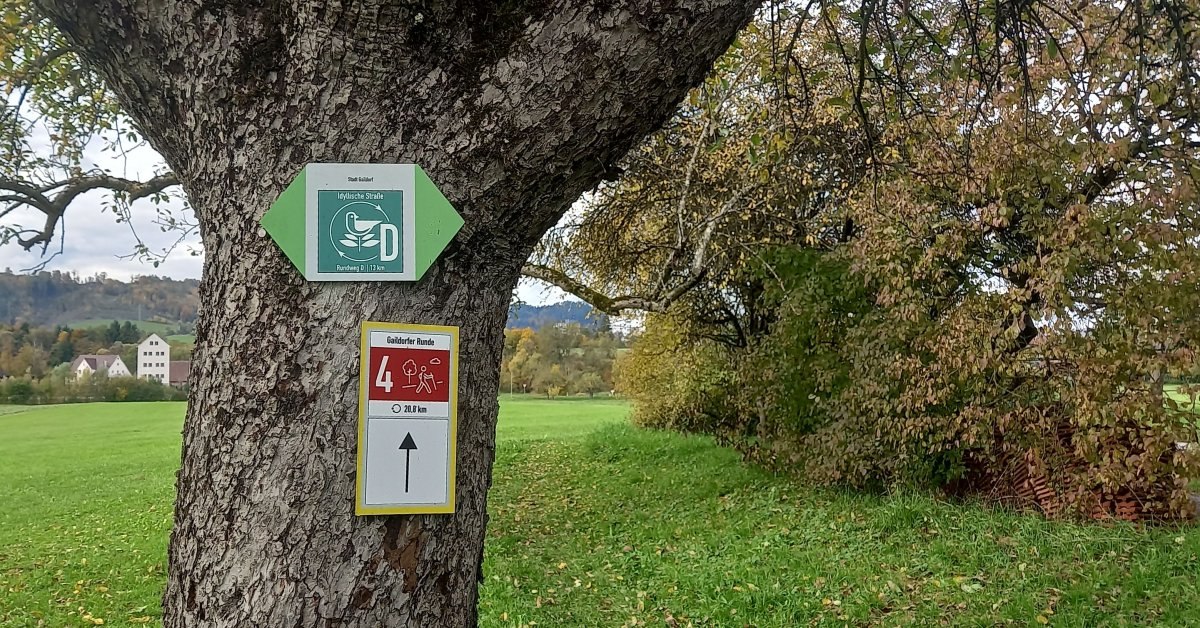 Wanderwegweiser an einem Baum, im Hintergrund grüne Hecken und Wiese, © Petra Natzkwoski Wanderwegweiser an einem Baum, im Hintergrund grüne Hecken und Wiese, © Petra Natzkwoski