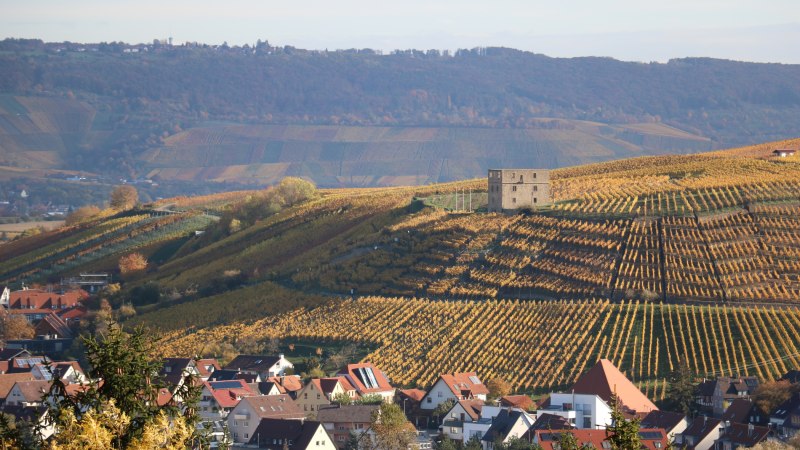 Herbstliche Weinberge bei Stetten mit der Yburg auf einem Hügel. Im Vordergrund ein Dorf mit roten Dächern, im Hintergrund bewaldete Hügel., © Remstal Tourismus e.V. Herbstliche Weinberge bei Stetten mit der Yburg auf einem Hügel. Im Vordergrund ein Dorf mit roten Dächern, im Hintergrund bewaldete Hügel., © Remstal Tourismus e.V.