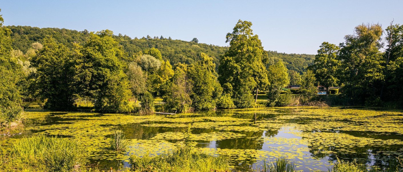 Ein idyllischer See mit Seerosen, umgeben von &uuml;ppigen B&auml;umen und einem klaren blauen Himmel. Die Natur wirkt friedlich und einladend., &copy; Stuttgart-Marketing GmbH, Sarah Schmid
