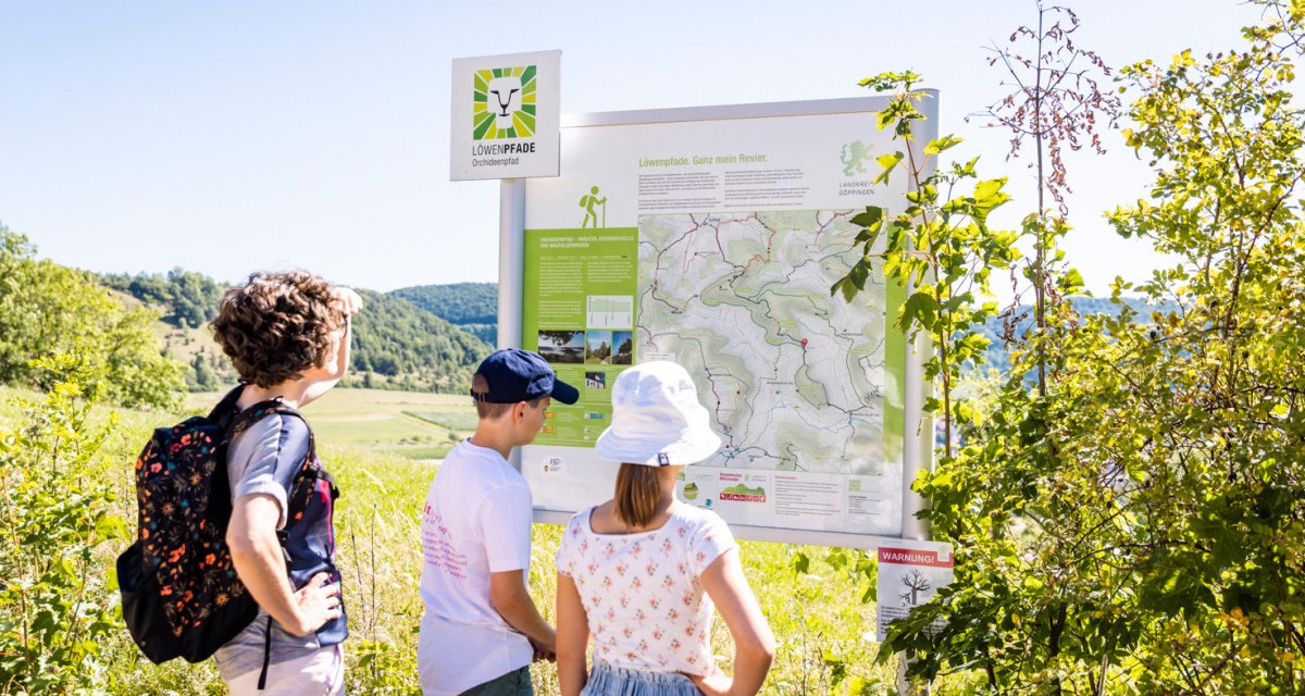 Drei Wanderer studieren eine Informationstafel der L&ouml;wenpfade in einer sonnigen, gr&uuml;nen Umgebung. Die Tafel zeigt eine Wanderkarte., &copy; TMBW