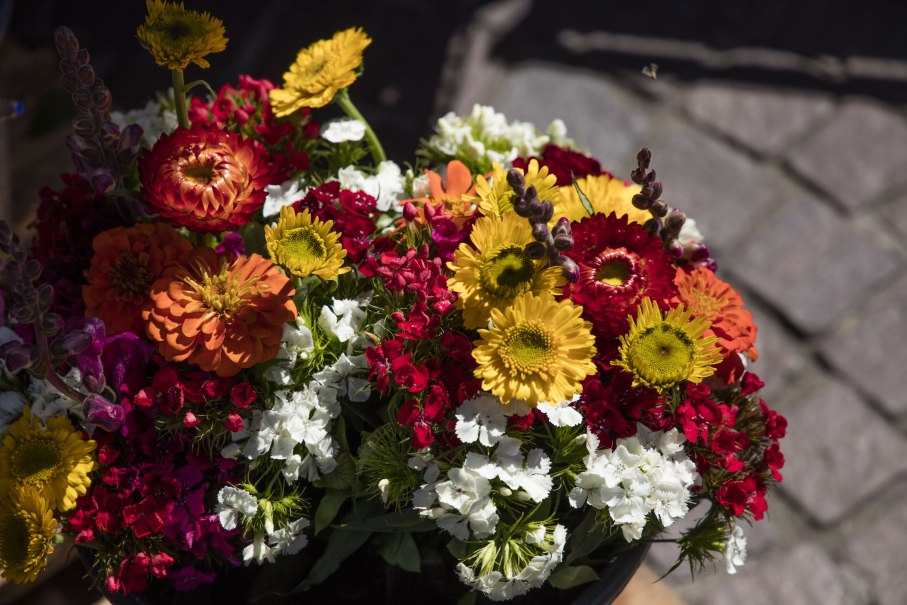 Ein bunter Blumenstrauß mit gelben, roten und weißen Blüten auf einem Marktstand. Die Blumen sind dicht angeordnet und leuchten in der Sonne., © SMG, A. Mende Ein bunter Blumenstrauß mit gelben, roten und weißen Blüten auf einem Marktstand. Die Blumen sind dicht angeordnet und leuchten in der Sonne., © SMG, A. Mende