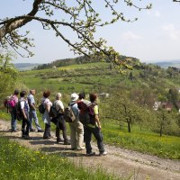 Eine Gruppe von Wanderern auf einem Weg mit Blick auf grüne Hügel und ein Dorf im Tal. Ein blühender Baum im Vordergrund., © Claudia Fy