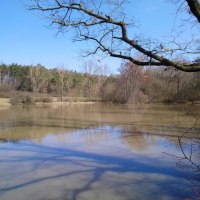 Ein ruhiger See mit spiegelnder Wasseroberfl&auml;che, umgeben von kahlen B&auml;umen und einem klaren blauen Himmel., &copy; Natur.Nah. Sch&ouml;nbuch & Heckeng&auml;u