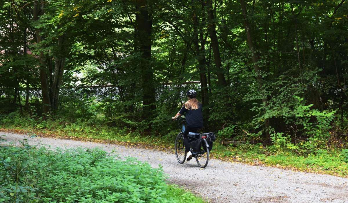 Eine Person f&auml;hrt mit einem Fahrrad auf einem schmalen Waldweg, umgeben von dichtem Gr&uuml;n und B&auml;umen., &copy; Stadtmarketing B&ouml;blingen e.V.