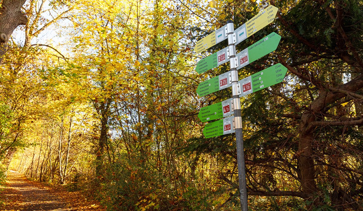 Ein Wegweiser im herbstlichen Wald von Gaildorf, umgeben von gelb gefärbten Bäumen und einem Laub bedeckten Pfad. Ein Wegweiser im herbstlichen Wald von Gaildorf, umgeben von gelb gefärbten Bäumen und einem Laub bedeckten Pfad.