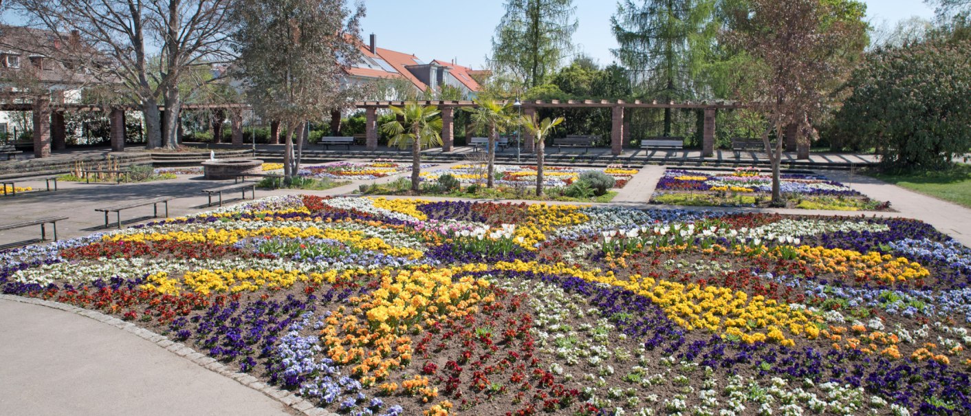 Bunte Blumenbeete im Stadtgarten Kornwestheim, umgeben von Bäumen und einer Pergola. Ein gepflegter Weg führt durch die farbenfrohe Anlage., © Stadt Kornwestheim Bunte Blumenbeete im Stadtgarten Kornwestheim, umgeben von Bäumen und einer Pergola. Ein gepflegter Weg führt durch die farbenfrohe Anlage., © Stadt Kornwestheim
