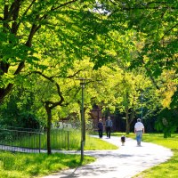 Ein sonniger Parkweg mit Menschen und einem Hund, umgeben von gr&uuml;nen B&auml;umen. Im Hintergrund ist ein Geb&auml;ude zu sehen., &copy; WTM GmbH Waiblingen
