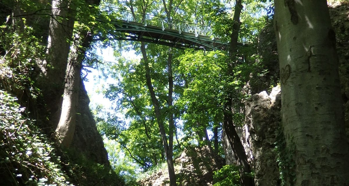 Ein Waldpfad führt unter einer Brücke hindurch, die zur Burgruine Rosenstein führt. Sonnenlicht fällt durch die dichten Baumkronen., © Foto: Volker Rösner Ein Waldpfad führt unter einer Brücke hindurch, die zur Burgruine Rosenstein führt. Sonnenlicht fällt durch die dichten Baumkronen., © Foto: Volker Rösner