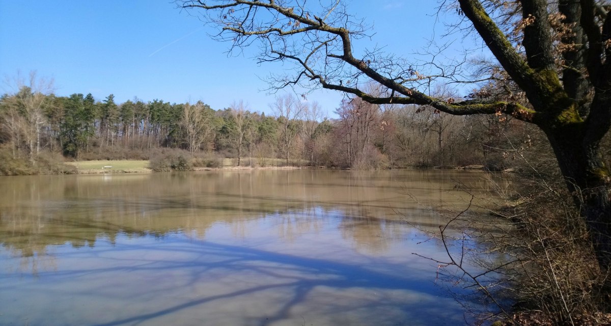 Ein ruhiger See mit spiegelnder Wasseroberfl&auml;che, umgeben von kahlen B&auml;umen und einem klaren blauen Himmel., &copy; Natur.Nah. Sch&ouml;nbuch & Heckeng&auml;u
