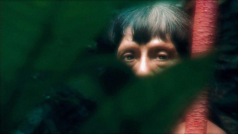 Yasuni, &copy; filmdelights