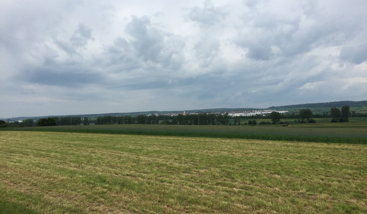 Weite Wiesenlandschaft mit gemähtem Gras unter einem bewölkten Himmel. Im Hintergrund sind Bäume und eine entfernte Siedlung zu sehen., © www.pro-cycl.de