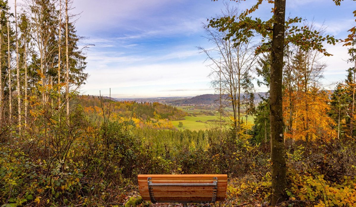 Holzbank mit Blick auf die Haller Ebene, umgeben von herbstlichen Bäumen auf dem Wanderweg 'Feenspuren' in Gaildorf.