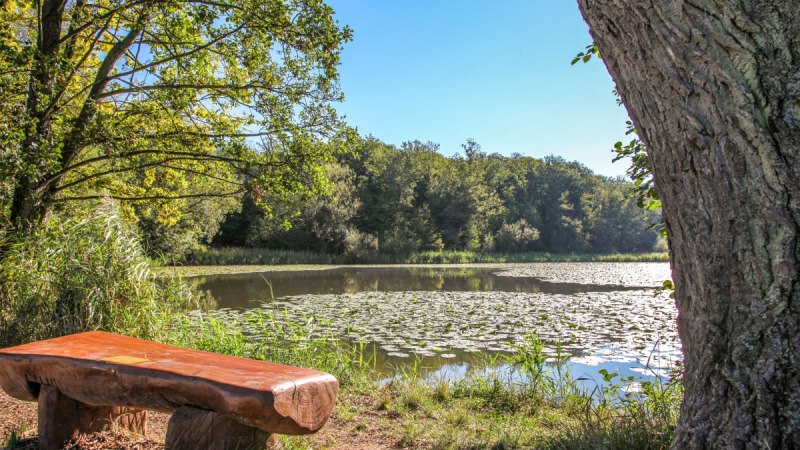 Charlottensee, © Landkreis Göppingen Charlottensee, © Landkreis Göppingen