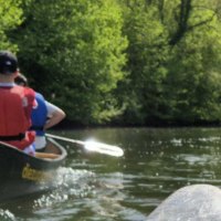 Eine Gruppe von Menschen paddelt in Kanus auf einem ruhigen Fluss, umgeben von üppigem Grün und Bäumen., © WTM GmbH Waiblingen Eine Gruppe von Menschen paddelt in Kanus auf einem ruhigen Fluss, umgeben von üppigem Grün und Bäumen., © WTM GmbH Waiblingen