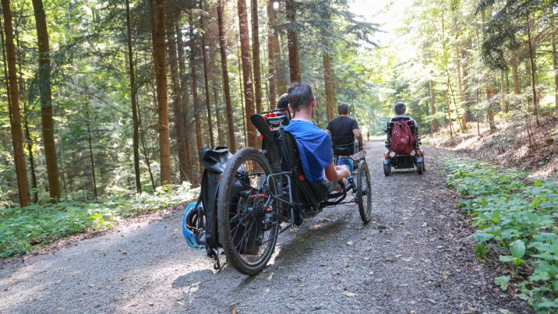 Drei Personen in Rollstühlen fahren auf einem sonnigen Waldweg. Die Umgebung ist dicht bewaldet und grün., © Naturpark Schwäbisch Fränkischer WAld