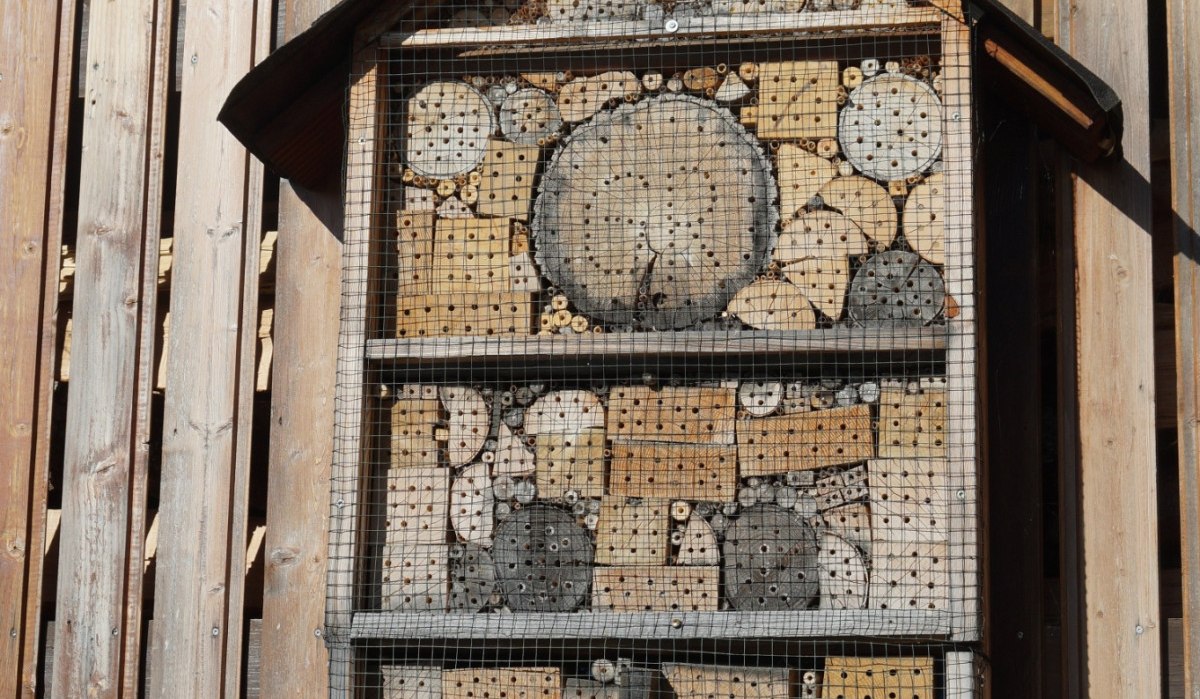 Ein Wildbienenhotel aus Holz und Ziegeln, das an einer Holzwand befestigt ist. Es bietet Nistm&ouml;glichkeiten f&uuml;r Insekten., &copy; Natur.Nah. Sch&ouml;nbuch & Heckeng&auml;u
