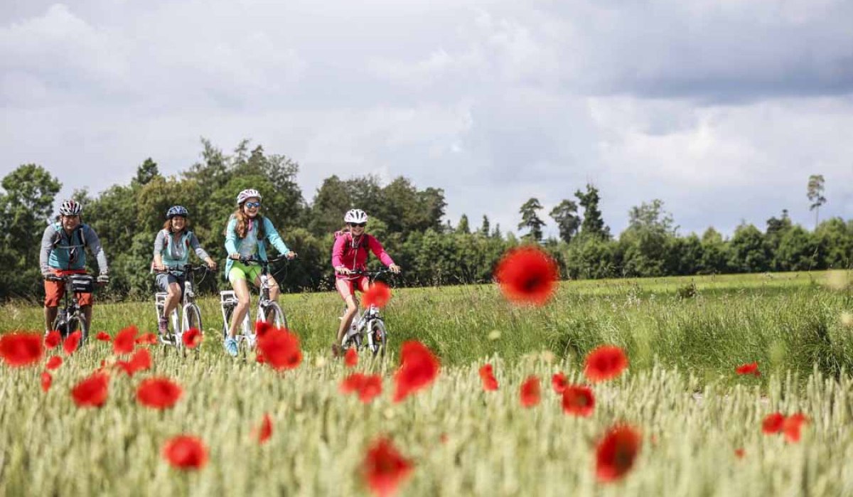 Vier Radfahrer fahren durch eine grüne Landschaft, umgeben von rotem Mohn und Bäumen im Hintergrund., © Schwäbische Alb Tourismusverband e.V. Vier Radfahrer fahren durch eine grüne Landschaft, umgeben von rotem Mohn und Bäumen im Hintergrund., © Schwäbische Alb Tourismusverband e.V.