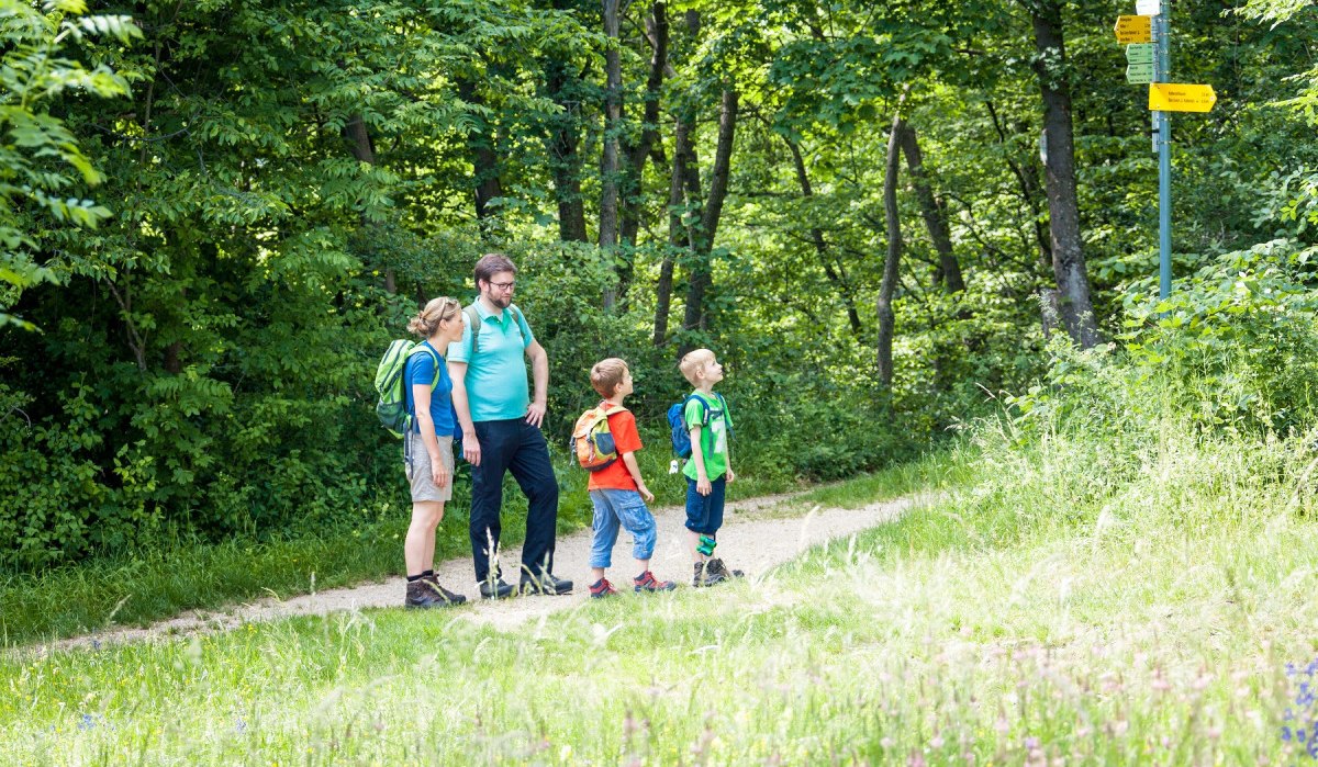 Eine Familie mit Rucksäcken wandert auf einem Waldweg und schaut auf Wegweiser. Umgeben von grünen Bäumen und Wiesen., © hochgehberge Eine Familie mit Rucksäcken wandert auf einem Waldweg und schaut auf Wegweiser. Umgeben von grünen Bäumen und Wiesen., © hochgehberge