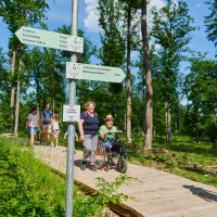 WAldweide_AndreasSporn_0174 WAldweide_AndreasSporn_0174