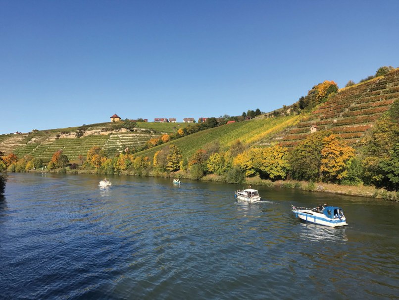 Boote fahren auf dem Neckar, im Hintergrund sind die herbstlichen Weinberge von Mühlhausen zu sehen, die sich an den Hügeln erstrecken., © SMG Boote fahren auf dem Neckar, im Hintergrund sind die herbstlichen Weinberge von Mühlhausen zu sehen, die sich an den Hügeln erstrecken., © SMG