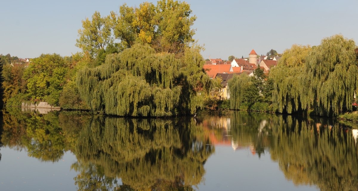 Ein ruhiger Fluss mit üppigen Bäumen und roten Dächern im Hintergrund, die sich im klaren Wasser spiegeln., © Land der 1000 Hügel - Kraichgau-Stromberg