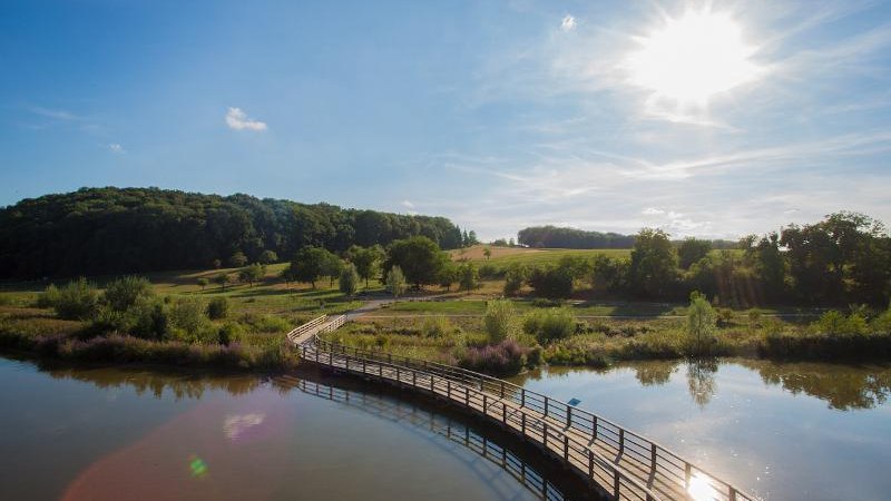 Holzsteg über einen Teich in einer grünen Landschaft mit Hügeln und Bäumen, unter strahlendem Sonnenschein., © © T&E