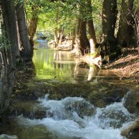 Ein klarer Bach fließt durch einen Wald, umgeben von Bäumen und grünem Laub. Sonnenlicht fällt durch die Blätter und spiegelt sich im Wasser., © Bad Urach Tourismus