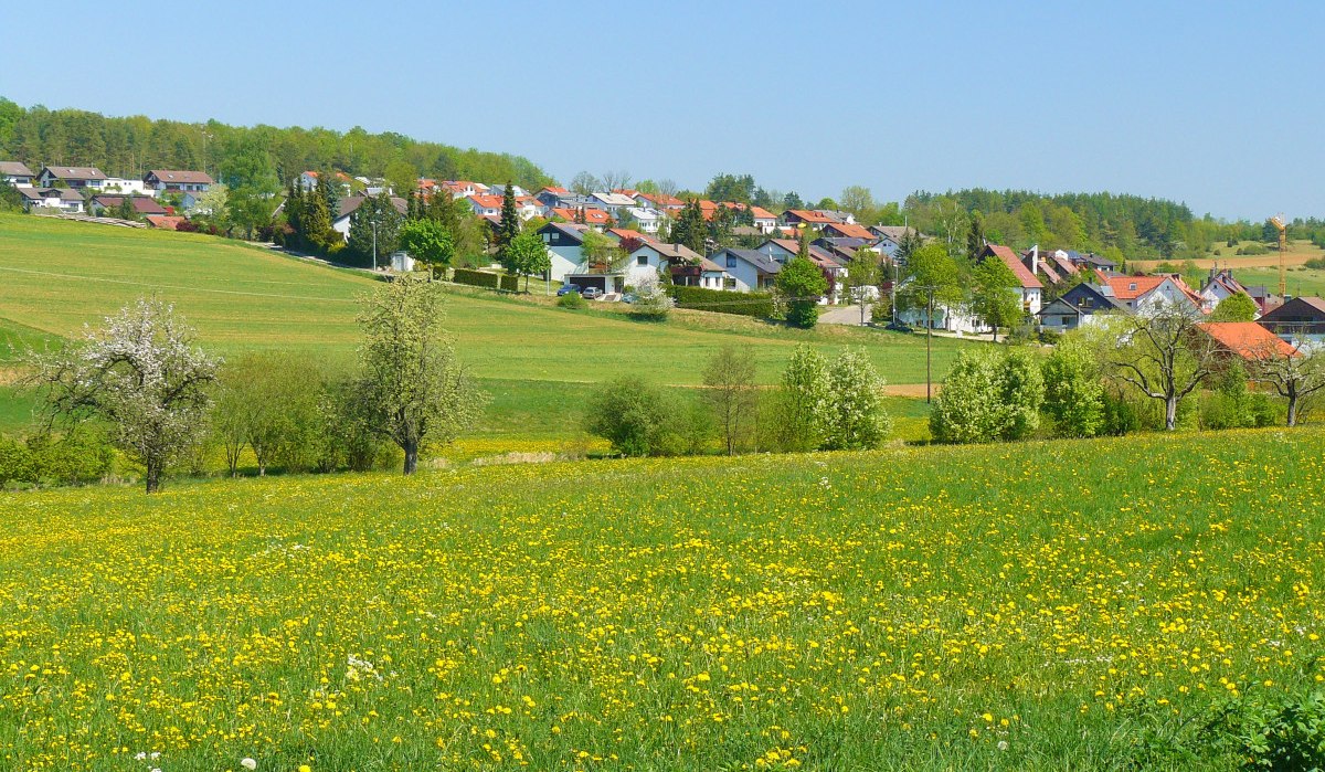 Blühende Wiese mit gelben Blumen, Bäume und ein Dorf im Hintergrund unter klarem, blauem Himmel., © Natur.Nah. Schönbuch & Heckengäu Blühende Wiese mit gelben Blumen, Bäume und ein Dorf im Hintergrund unter klarem, blauem Himmel., © Natur.Nah. Schönbuch & Heckengäu