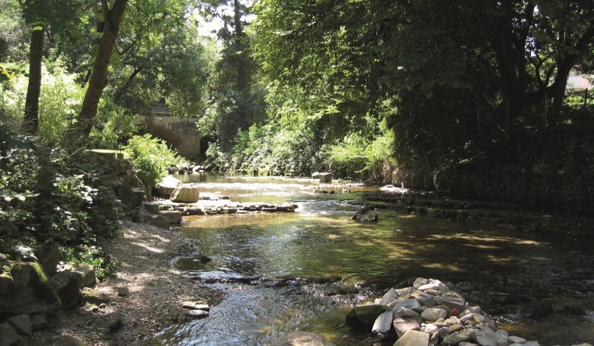Ein kleiner Fluss fließt durch einen bewaldeten Bereich, umgeben von Bäumen und Steinen. Sonnenlicht fällt durch das Blätterdach., © Stadt kirchheim unter Teck Ein kleiner Fluss fließt durch einen bewaldeten Bereich, umgeben von Bäumen und Steinen. Sonnenlicht fällt durch das Blätterdach., © Stadt kirchheim unter Teck