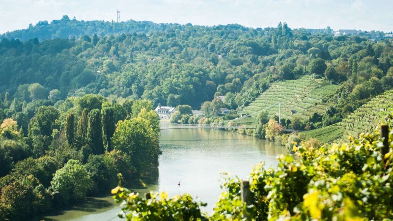Blick auf eine Flusslandschaft mit einer Schleife, umgeben von grünen Weinbergen und dichtem Wald., © Weingut Zaißerei Blick auf eine Flusslandschaft mit einer Schleife, umgeben von grünen Weinbergen und dichtem Wald., © Weingut Zaißerei