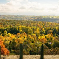 Aussicht vom Uhlbergturm auf eine herbstliche Landschaft mit bunten Bäumen und Hügeln im Hintergrund., © Stuttgart-Marketing GmbH, Sarah Schmid Aussicht vom Uhlbergturm auf eine herbstliche Landschaft mit bunten Bäumen und Hügeln im Hintergrund., © Stuttgart-Marketing GmbH, Sarah Schmid