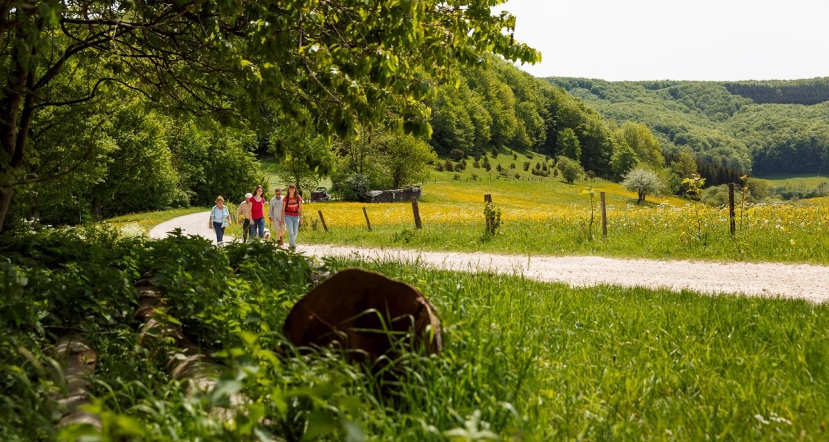 Eine Gruppe von Menschen wandert auf einem Weg durch eine gr&uuml;ne Landschaft mit bl&uuml;henden Wiesen und B&auml;umen., &copy; Landkreis G&ouml;ppingen