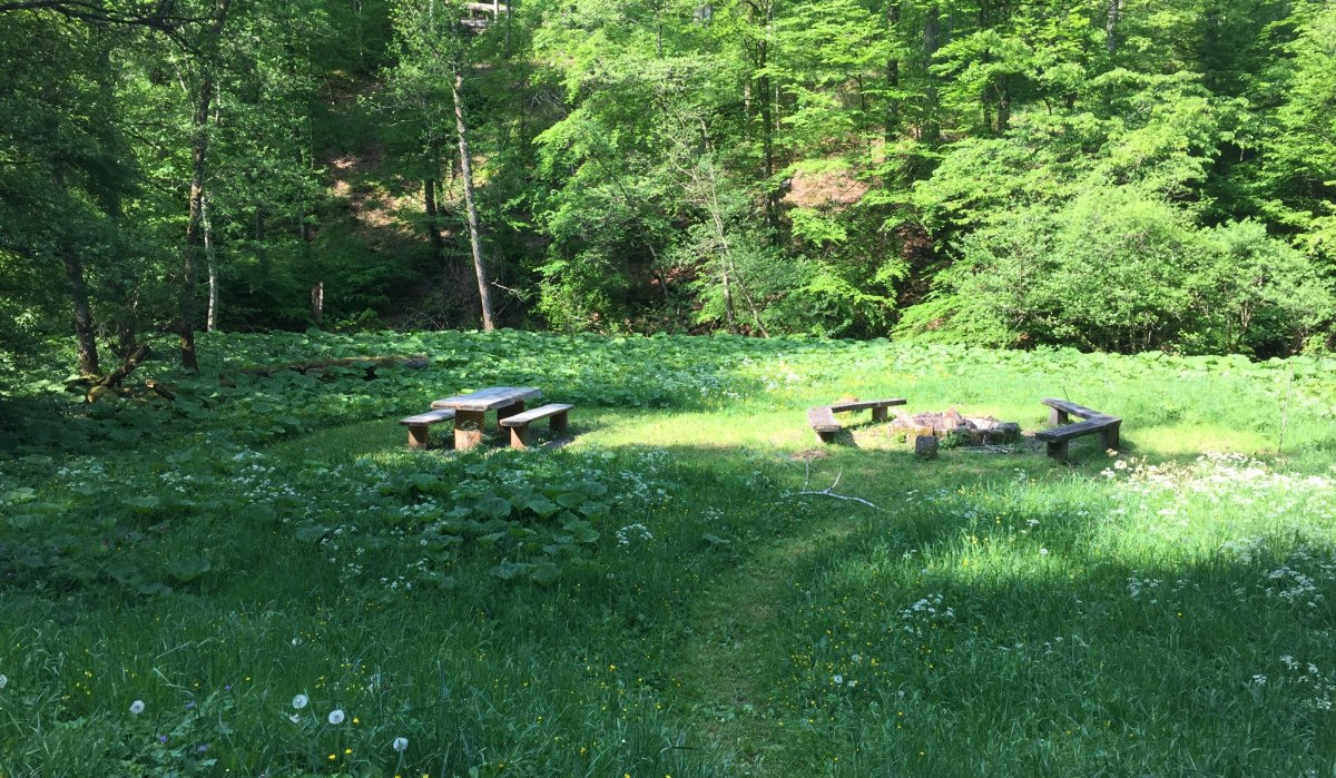 Ein Grillplatz im Wald mit Holzbänken und einer Feuerstelle, umgeben von grüner Vegetation und Bäumen., © www.pro-cycl.de Ein Grillplatz im Wald mit Holzbänken und einer Feuerstelle, umgeben von grüner Vegetation und Bäumen., © www.pro-cycl.de