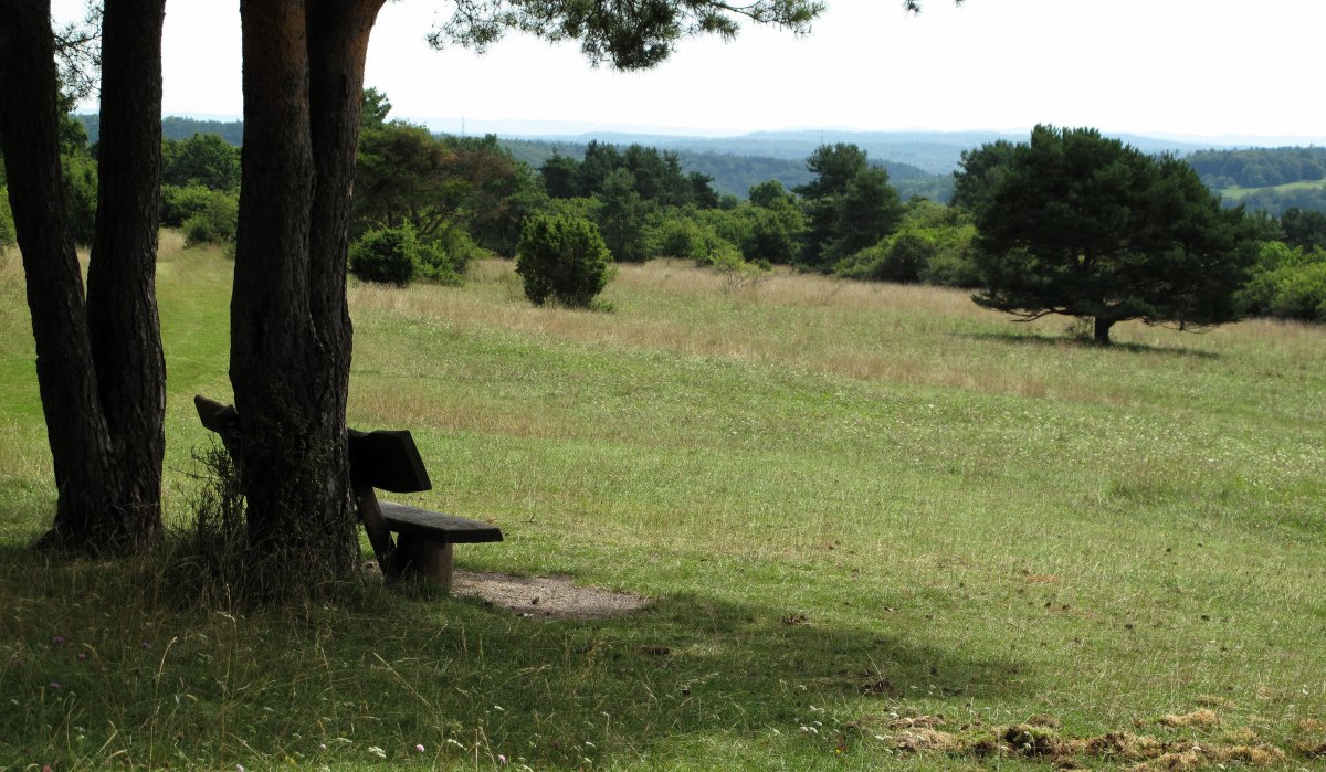 Bank im Schatten von Bäumen auf einer Wiese, umgeben von grüner Landschaft und Hügeln im Hintergrund., © Natur.Nah. Schönbuch & Heckengäu Bank im Schatten von Bäumen auf einer Wiese, umgeben von grüner Landschaft und Hügeln im Hintergrund., © Natur.Nah. Schönbuch & Heckengäu