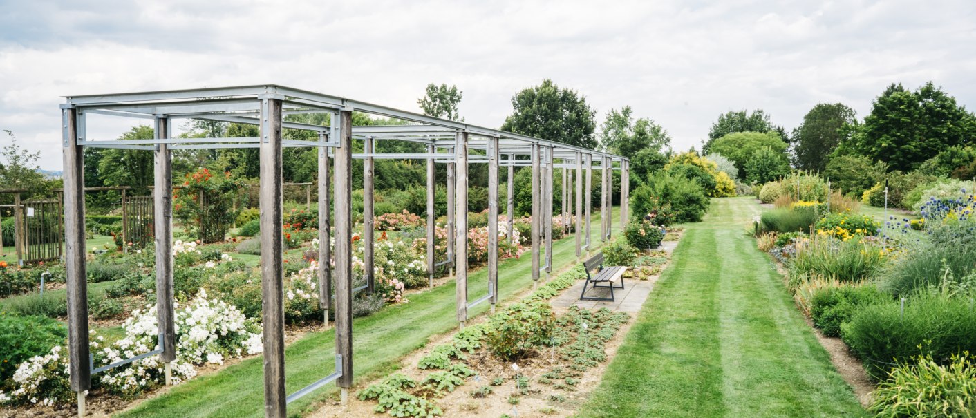 Ein gepflegter Garten mit Blumenbeeten, einer Holzpergola und einer Bank auf einem Rasenweg unter bewölktem Himmel., © HfWU, Manuel stark