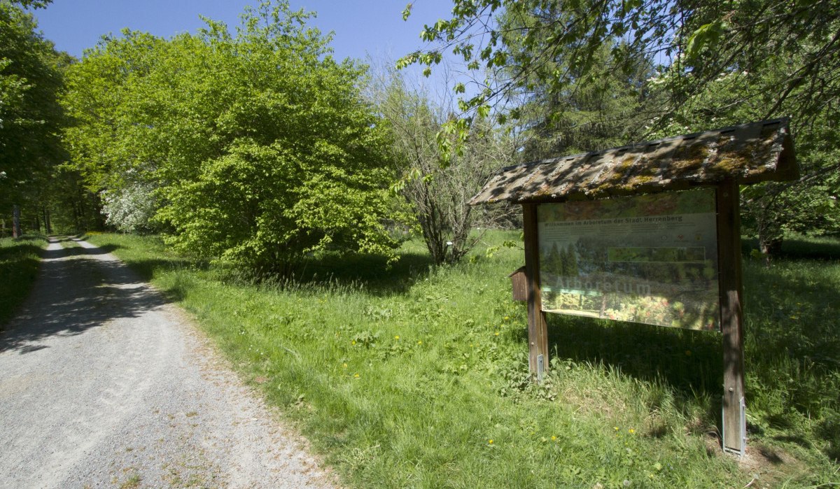 Ein Schotterweg führt durch das Arboretum Haslach. Rechts steht eine Schautafel, umgeben von grünen Bäumen und Wiesen unter blauem Himmel., © Natur.Nah. Schönbuch & Heckengäu Ein Schotterweg führt durch das Arboretum Haslach. Rechts steht eine Schautafel, umgeben von grünen Bäumen und Wiesen unter blauem Himmel., © Natur.Nah. Schönbuch & Heckengäu