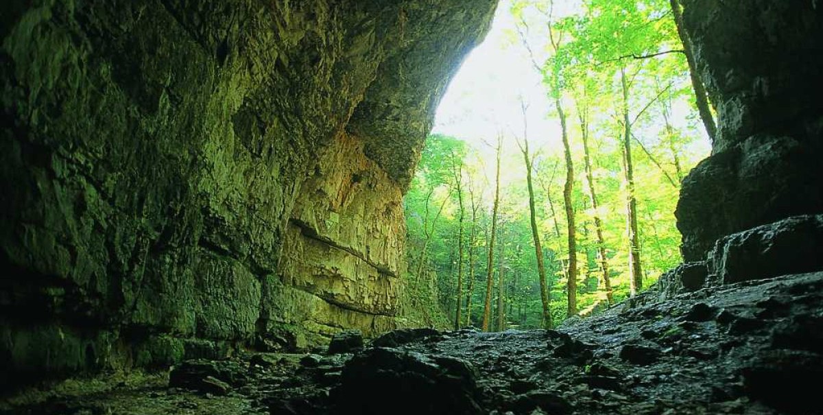 Falkensteiner_Höhle_Innen