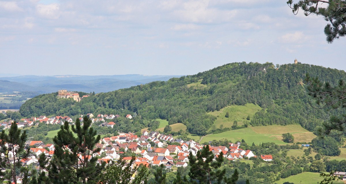 Blick auf die Ruine Rechberg auf einem bewaldeten Hügel, umgeben von einem Dorf mit roten Dächern und grünen Feldern., © Foto: Frieder Kopper